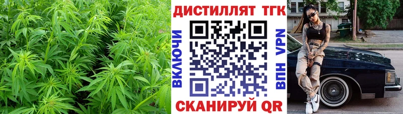 Купить где  Малаховка  ТГК концентрат 