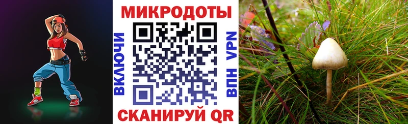 Купить где  Малаховка  Псилоцибиновые грибы ЛСД 